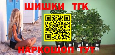 индика Донецк