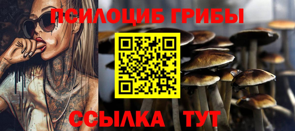 Галлюциногенные грибы мицелий Кувандык
